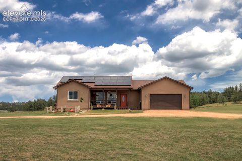 Photo of 378 High Pasture Road, Florissant, CO 80816 (MLS # 4948859)