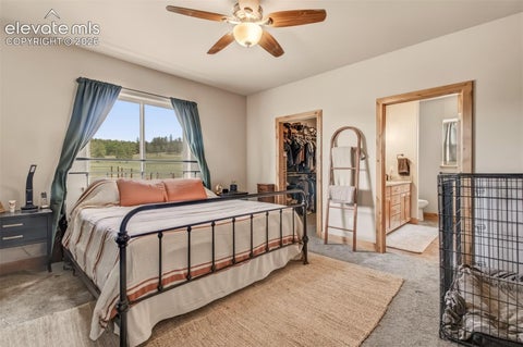 Tiny photo for 378 High Pasture Road, Florissant, CO 80816 (MLS # 4948859)