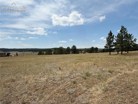 Tiny photo for 378 High Pasture Road, Florissant, CO 80816 (MLS # 4948859)