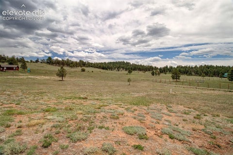 Tiny photo for 378 High Pasture Road, Florissant, CO 80816 (MLS # 4948859)
