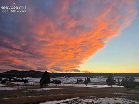 Tiny photo for 378 High Pasture Road, Florissant, CO 80816 (MLS # 4948859)