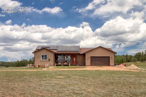 Photo of 378 High Pasture Road, Florissant, CO 80816 (MLS # 4948859)