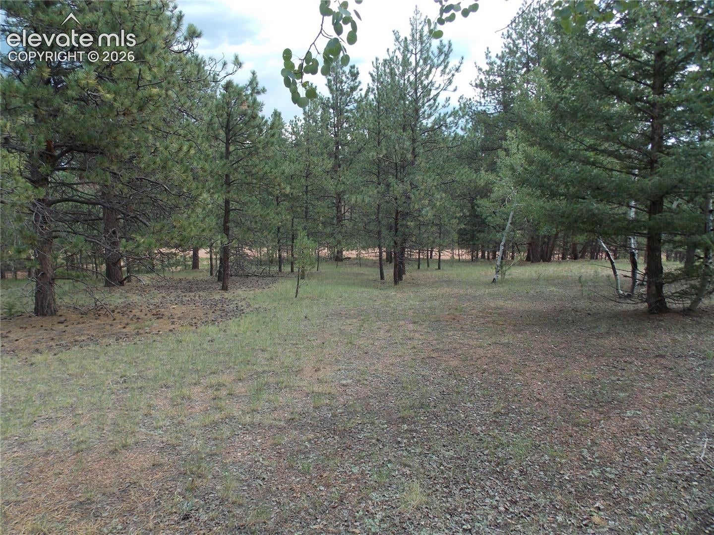 738 Black Mesa Circle