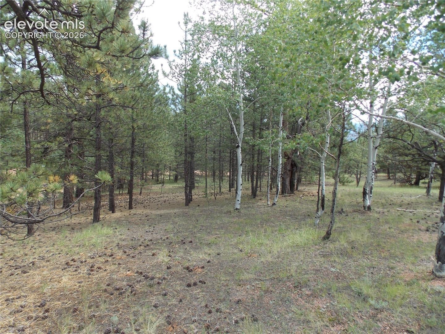 738 Black Mesa Circle