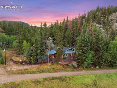 Photo of 534 Brook Drive, Lake George, CO 80827 (MLS # 1699416)