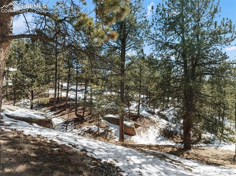 Tiny photo for 10448 County Road 1, Florissant, CO 80816 (MLS # 2210993)