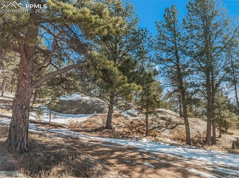 Tiny photo for 10448 County Road 1, Florissant, CO 80816 (MLS # 2210993)