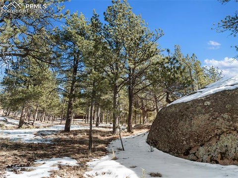 Tiny photo for 10448 County Road 1, Florissant, CO 80816 (MLS # 2210993)