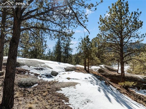 Tiny photo for 10448 County Road 1, Florissant, CO 80816 (MLS # 2210993)