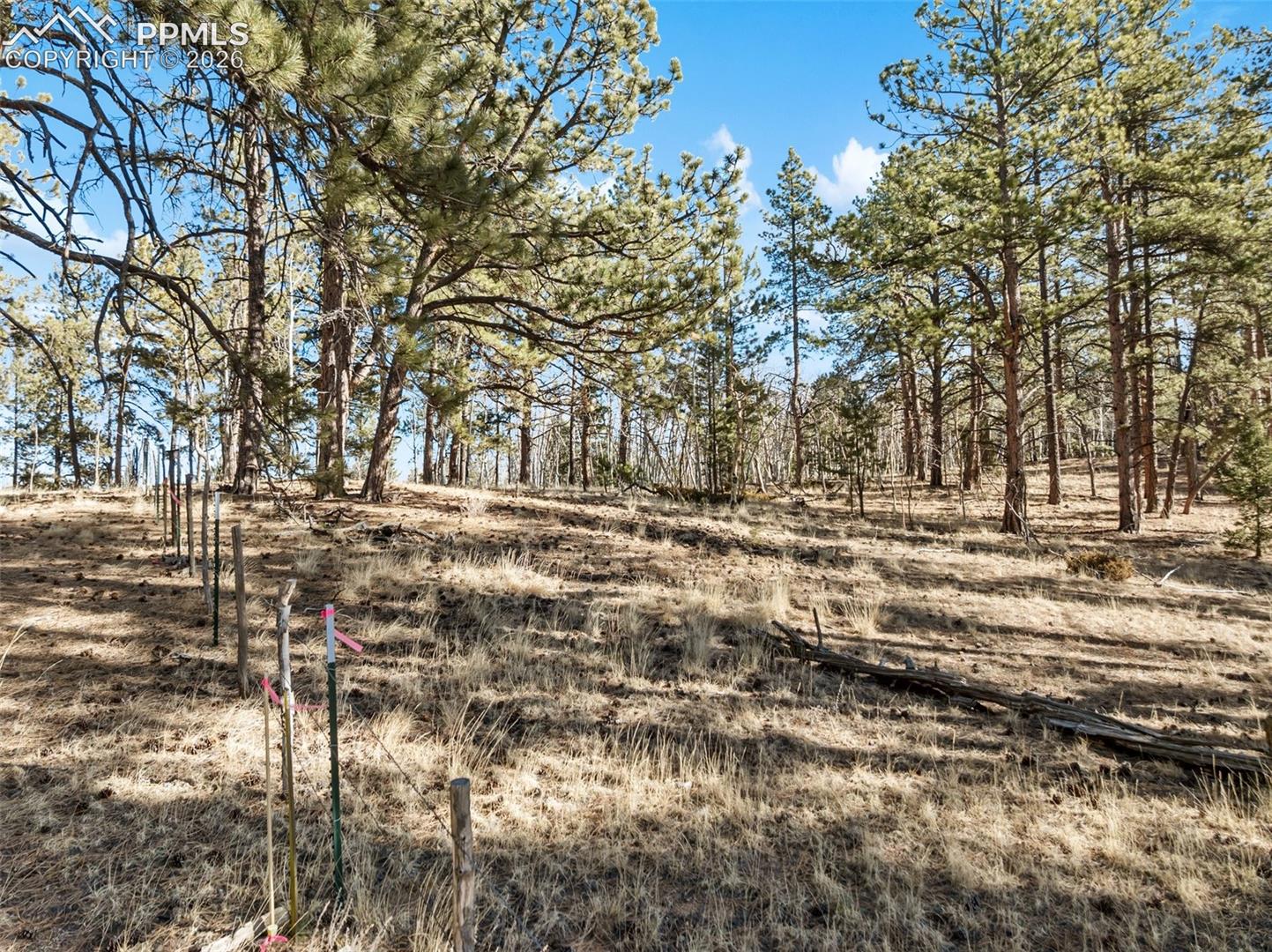 Lot 20 Echo Lake Drive