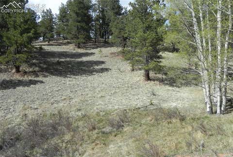 Photo of 1699 Monarch Drive, Cripple Creek, CO 80813 (MLS # 8978873)