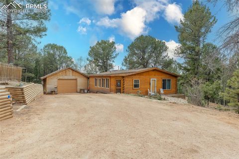 Photo of 847 Timber Ridge Road, Divide, CO 80814 (MLS # 8746968)