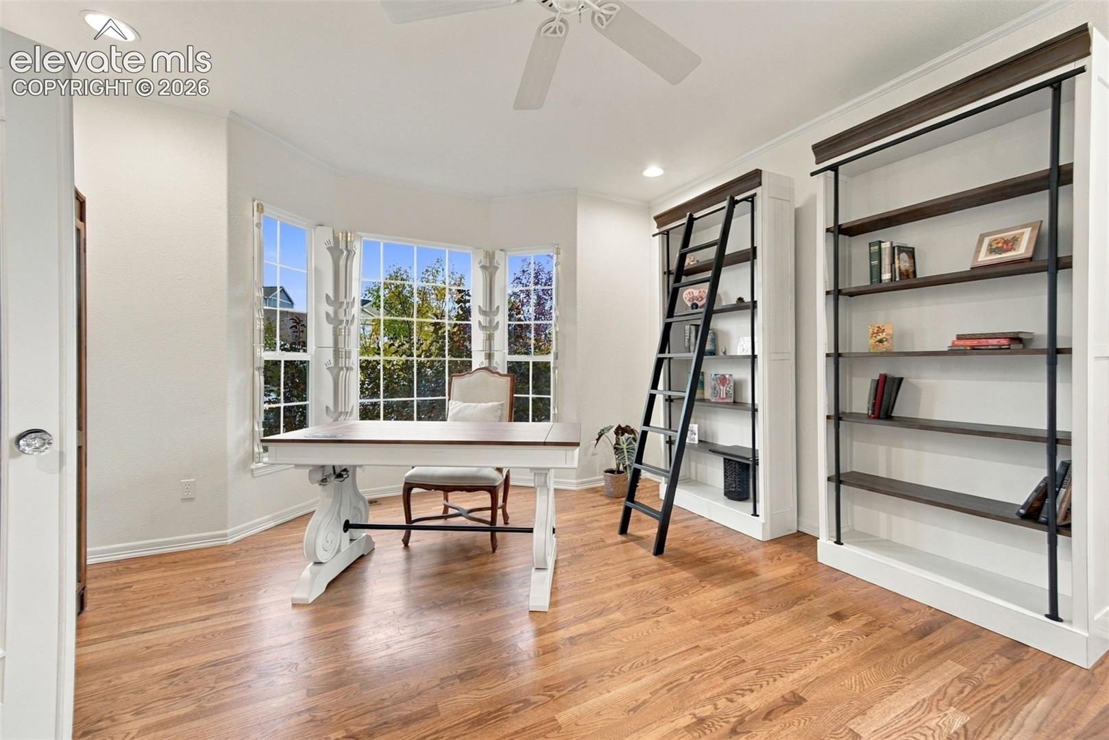 654 Coyote Willow Drive