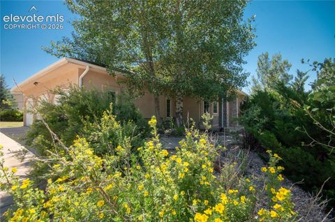 Photo of 19558 Fox Trail Way, Monument, CO 80132 (MLS # 6516389)