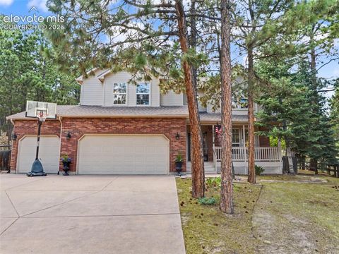Photo of 1360 Pawprint Court, Colorado Springs, CO 80921 (MLS # 3394837)