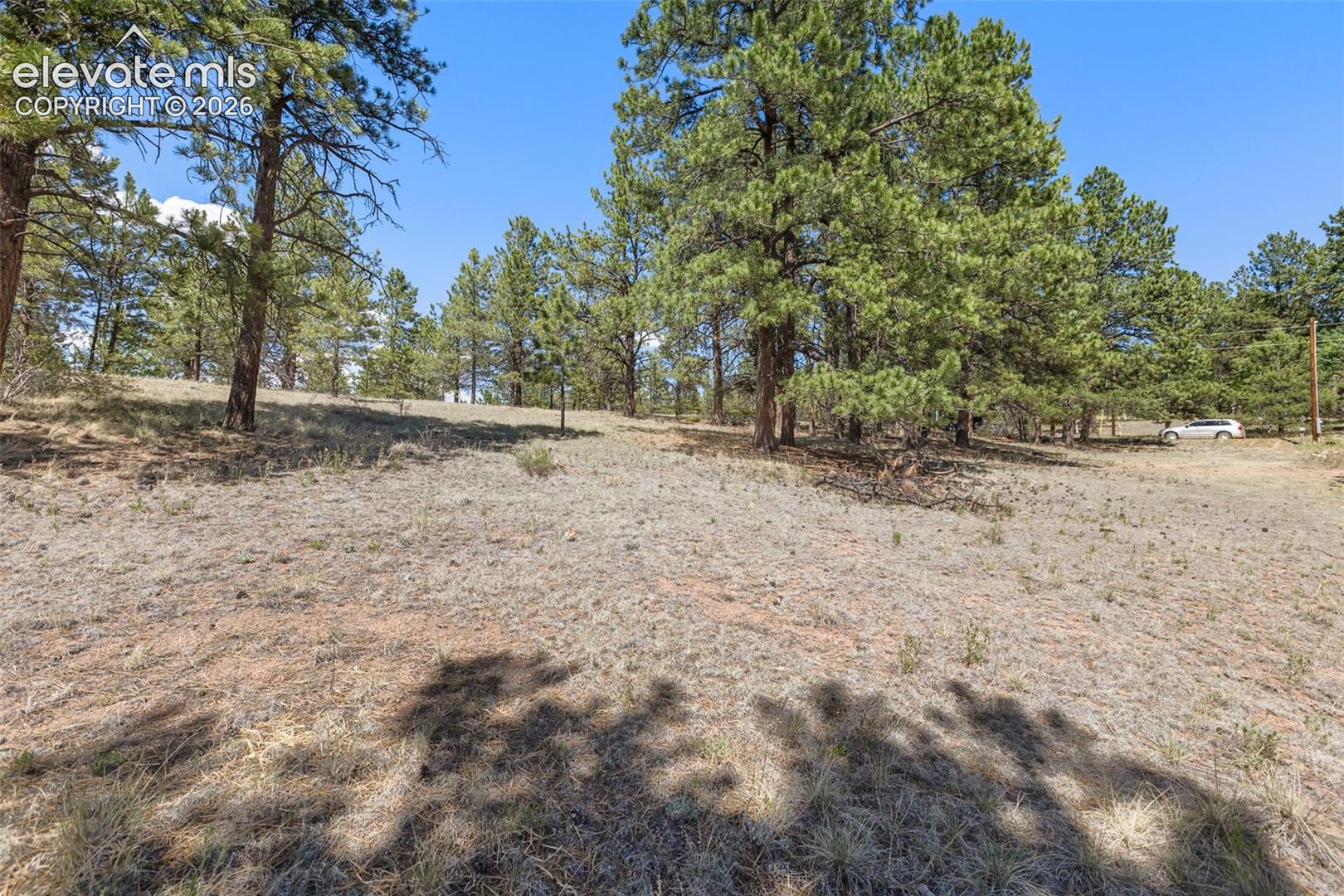349 Rhyolite Lane