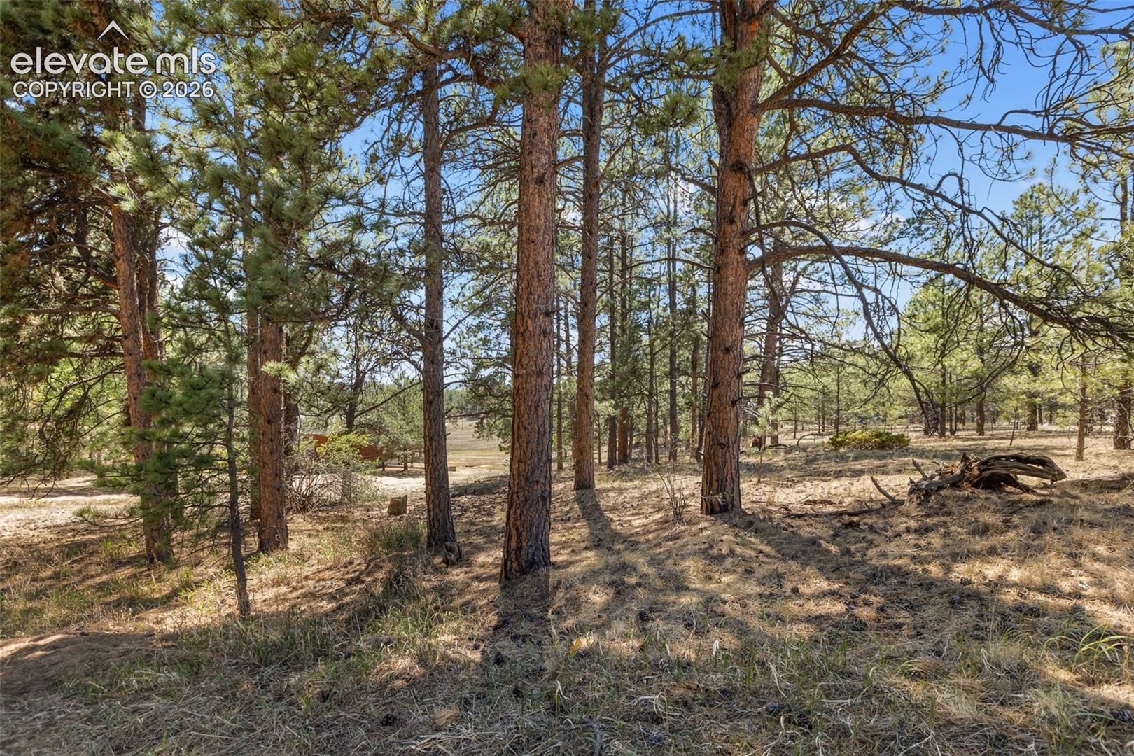 349 Rhyolite Lane