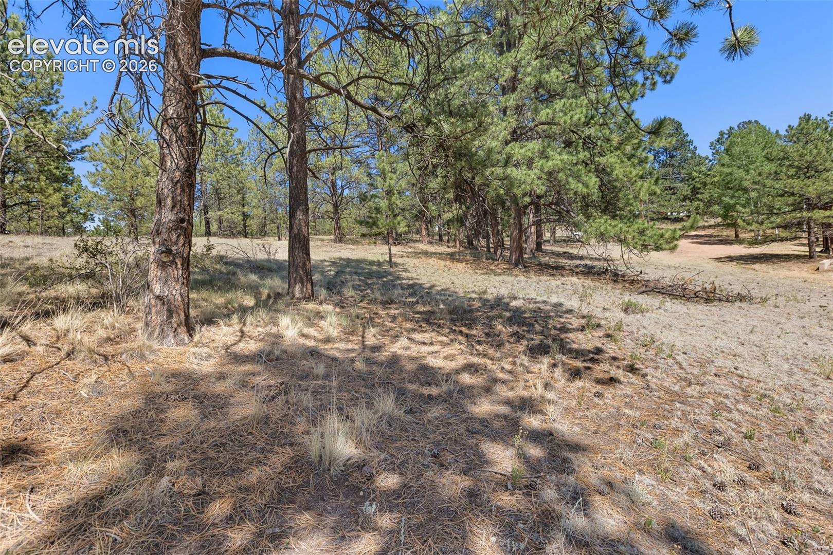 349 Rhyolite Lane