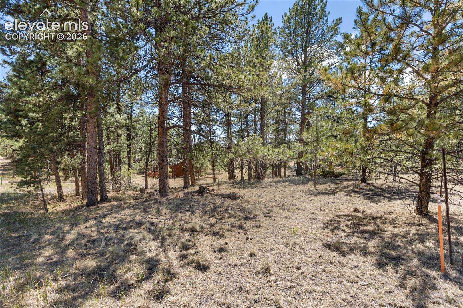 349 Rhyolite Lane