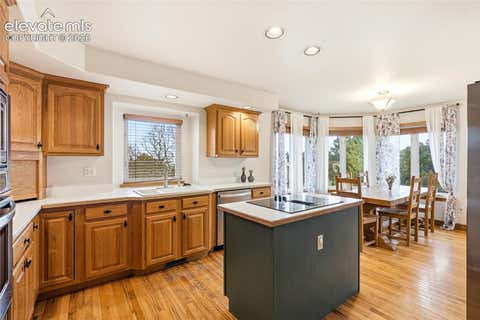 Tiny photo for 17955 Tom Boy Way, Monument, CO 80132 (MLS # 8295782)