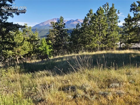 Tiny photo for 249 E Lake Avenue, Woodland Park, CO 80863 (MLS # 5917734)