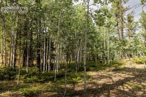 Tiny photo for 2644 Pathfinder Road, Florissant, CO 80816 (MLS # 5875724)