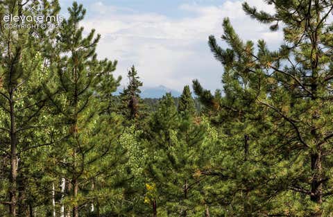 Tiny photo for 2644 Pathfinder Road, Florissant, CO 80816 (MLS # 5875724)