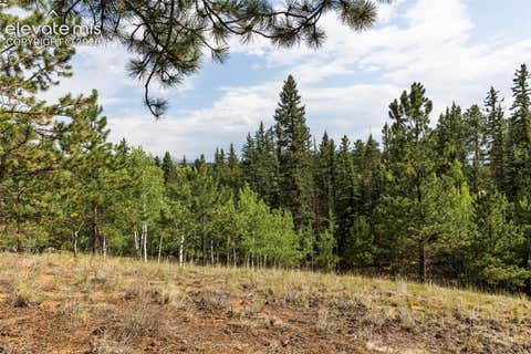 Tiny photo for 2644 Pathfinder Road, Florissant, CO 80816 (MLS # 5875724)