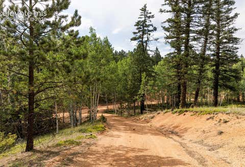 Tiny photo for 2644 Pathfinder Road, Florissant, CO 80816 (MLS # 5875724)