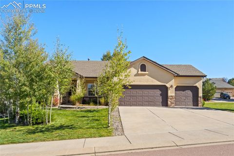Photo of 208 Green Rock Place, Monument, CO 80132 (MLS # 3433521)