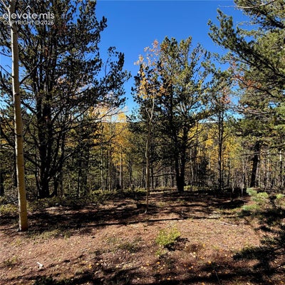 773 TIMBER RIDGE RD, DIVIDE, CO 80814 - Image f2ae043ee3dbdb842c22069ead2c8406/1672813340