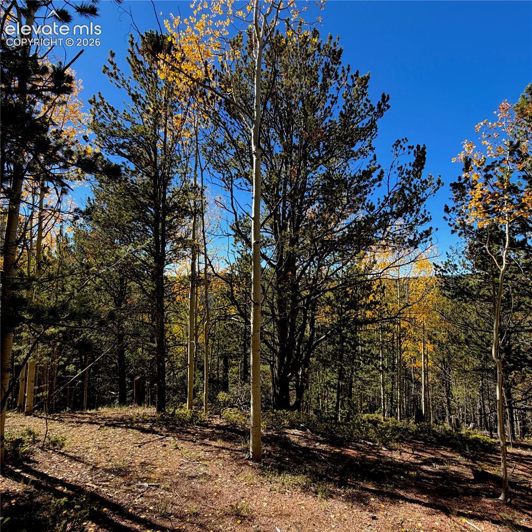 773 Timber Ridge Road
