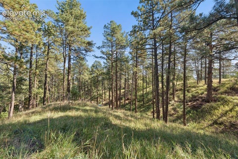 Tiny photo for 17 Midland Road, Colorado Springs, CO 80906 (MLS # 5336313)