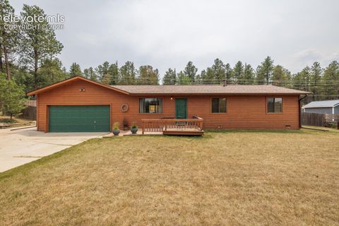 Photo of 107 Glovers Lane, Woodland Park, CO 80863 (MLS # 1557790)