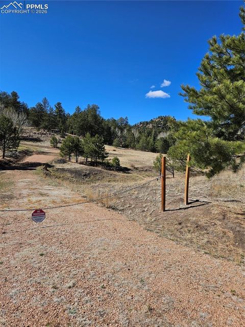 Photo of 717 Canyon Drive, Florissant, CO 80816 (MLS # 7289660)