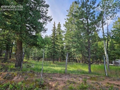 Photo of Rolling Park Drive, Woodland Park, CO 80863 (MLS # 9727235)