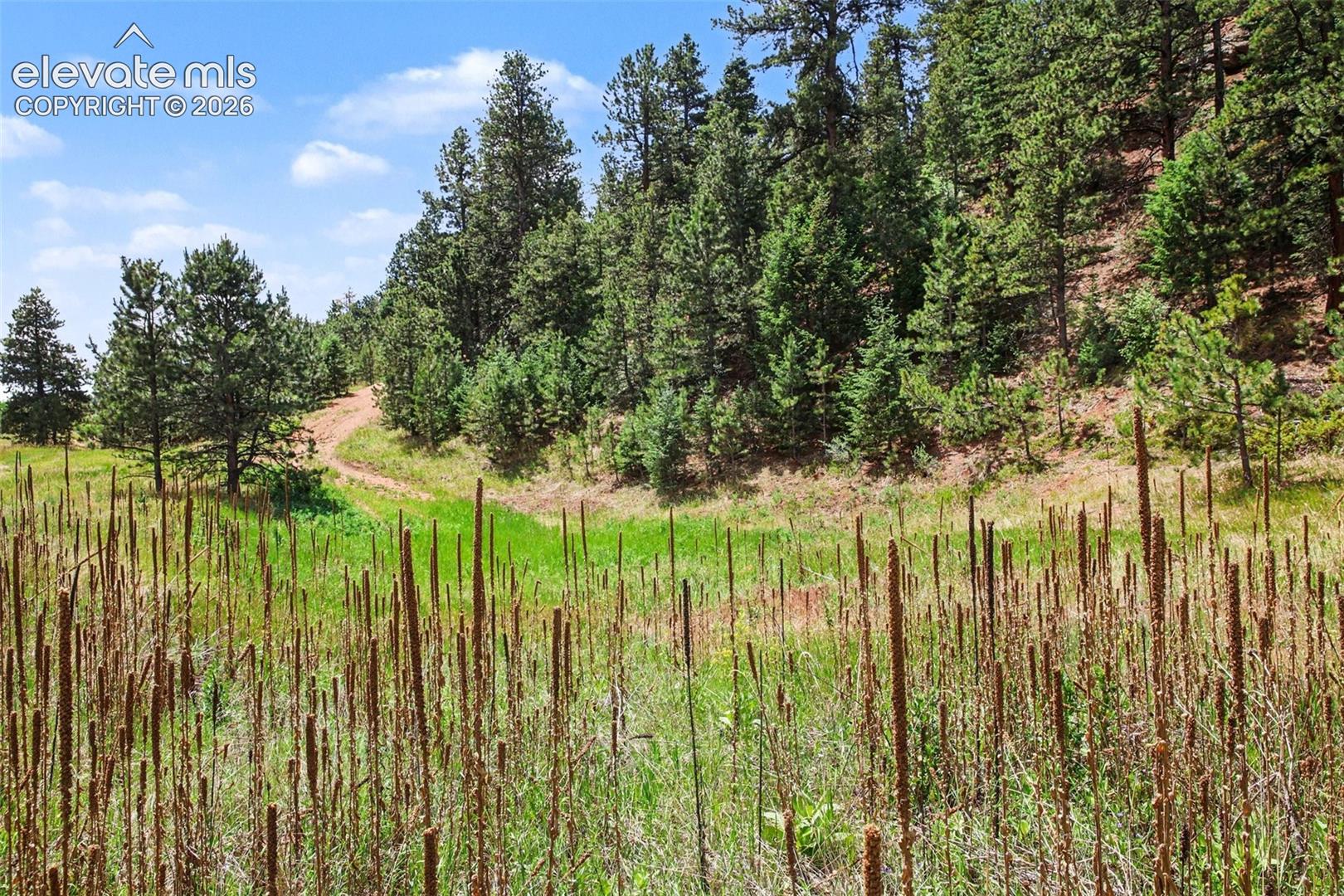 10905 W Highway 24