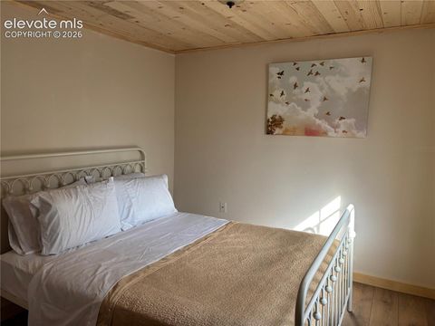 Tiny photo for 3800 Doe Valley Road, Guffey, CO 80820 (MLS # 4956781)