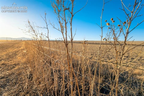 Photo of 0 Highway 94, Ellicott, CO 80808 (MLS # 2315207)