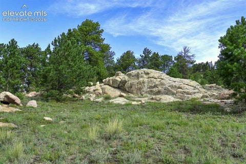 Photo of 32 Peak Drive, Guffey, CO 80820 (MLS # 1615750)