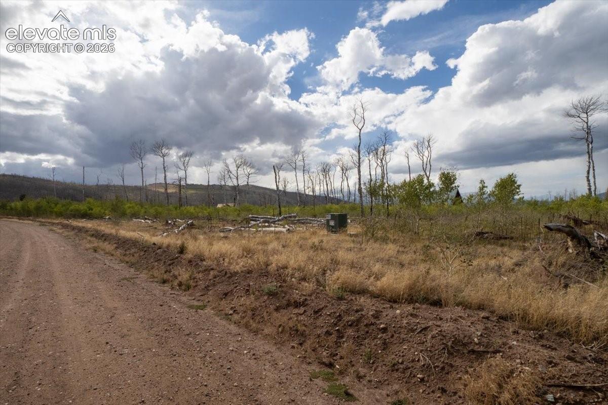 Lot 1316 Biaggini Lane