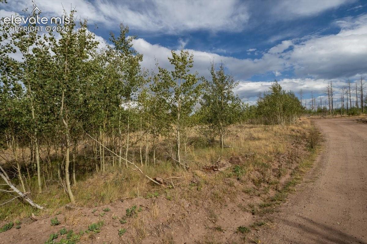 Lot 1316 Biaggini Lane