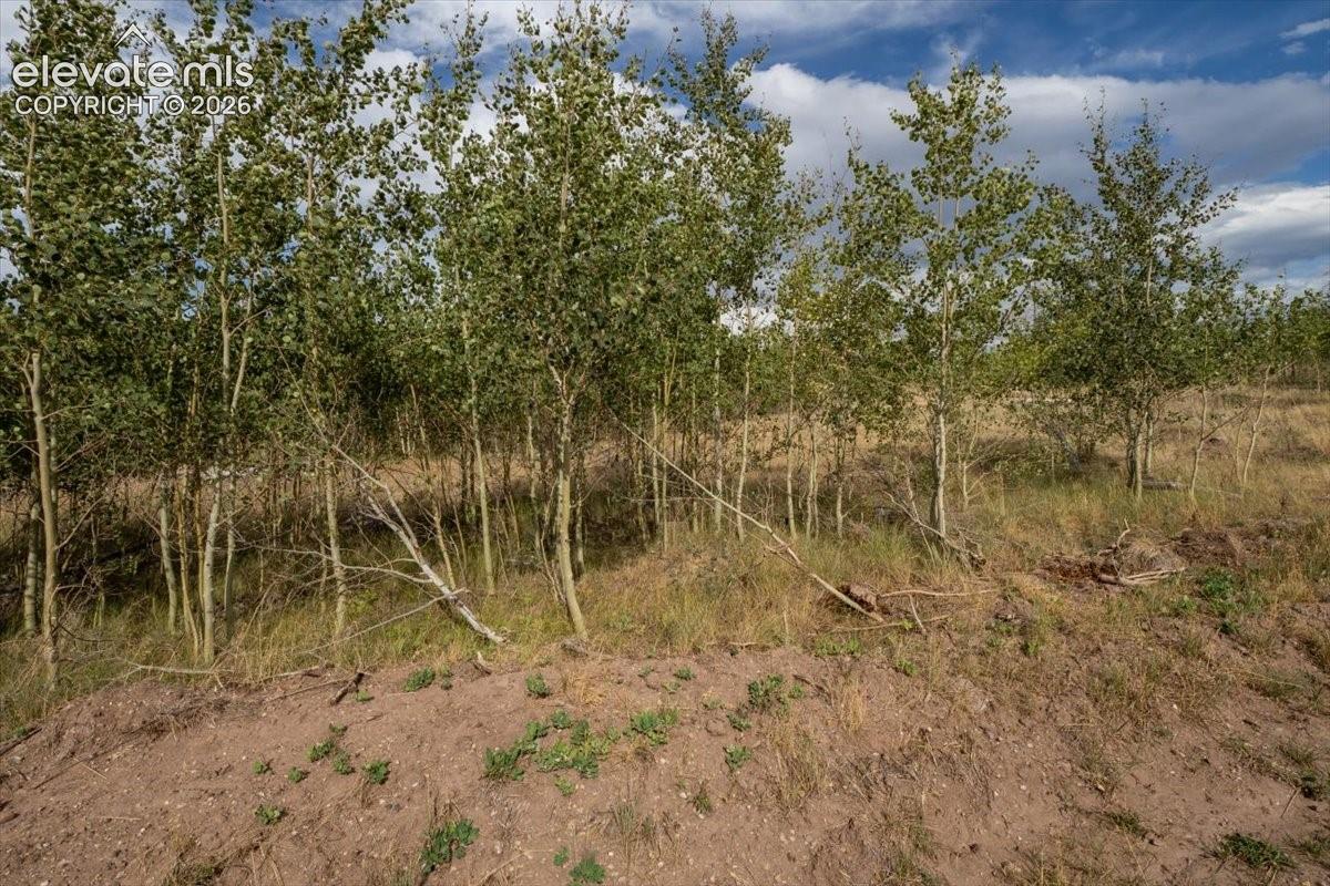 Lot 1316 Biaggini Lane