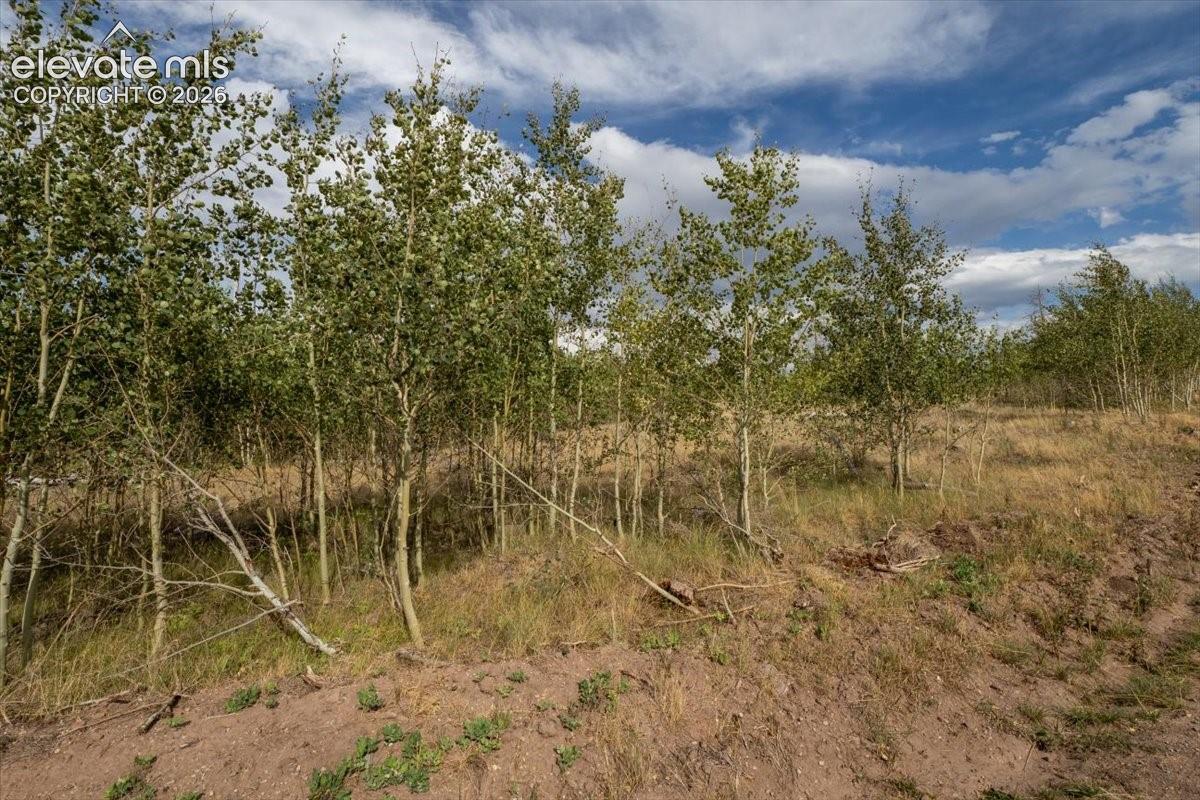 Lot 1316 Biaggini Lane