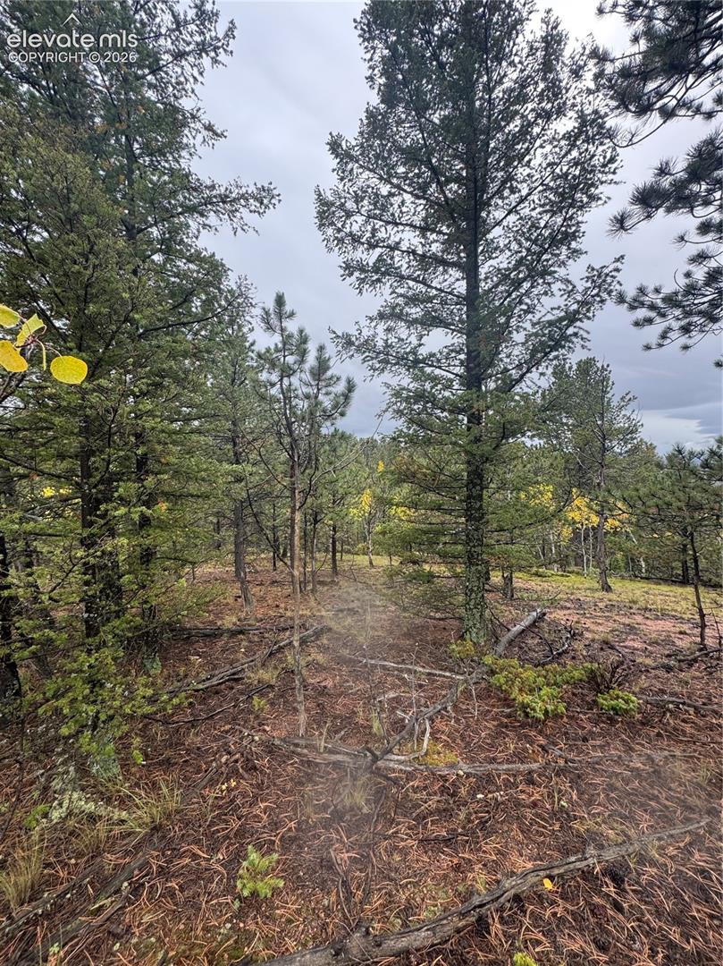 7935 County Road 51