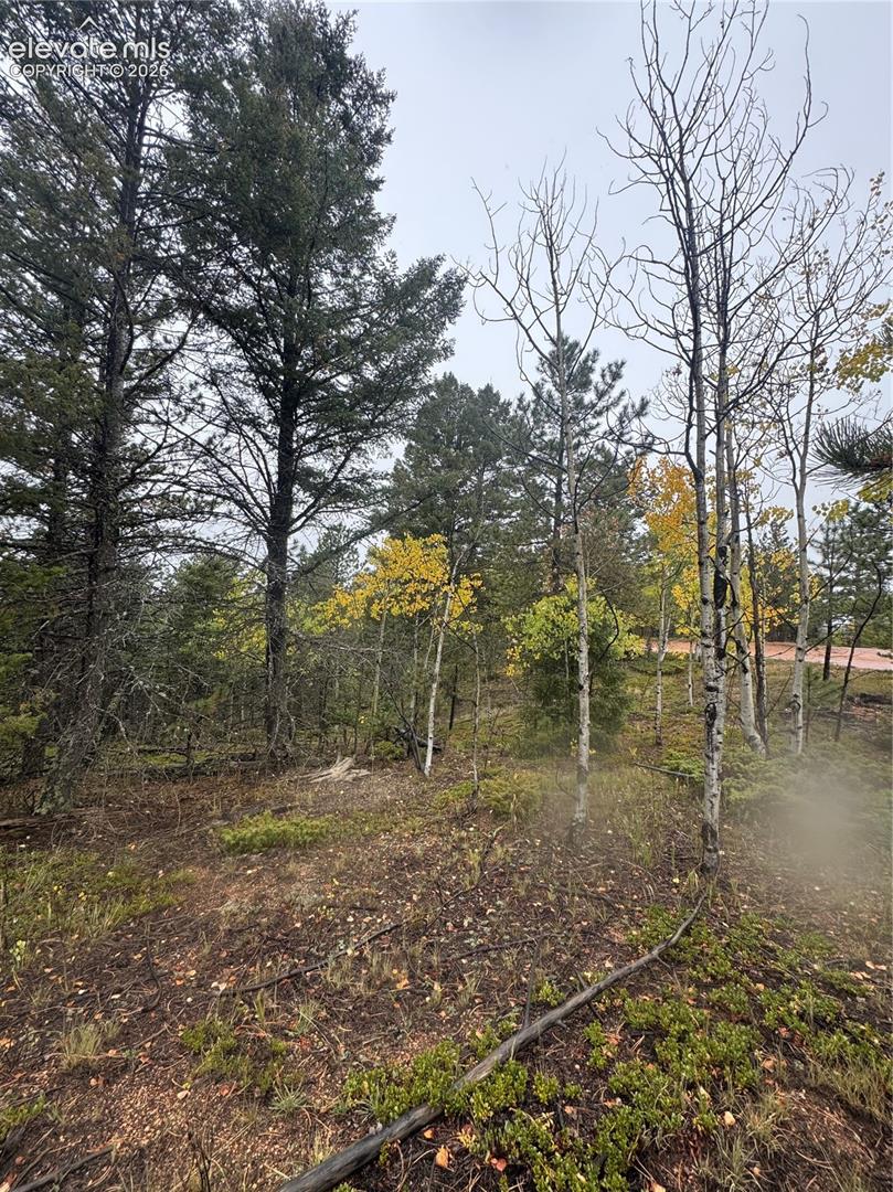 7935 County Road 51