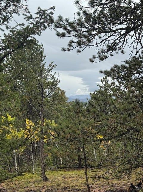 Photo of 7935 County Road 51, Divide, CO 80814 (MLS # 4125575)