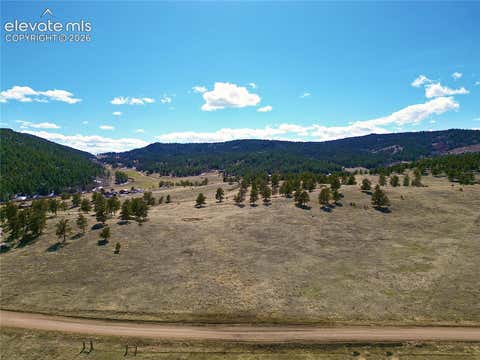 Photo of 200 Slater Creek Road, Florissant, CO 80816 (MLS # 7893286)