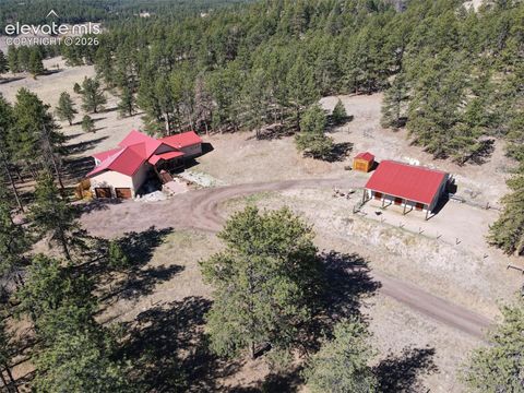 Photo of 37081 County Road 77, Lake George, CO 80827 (MLS # 9318333)