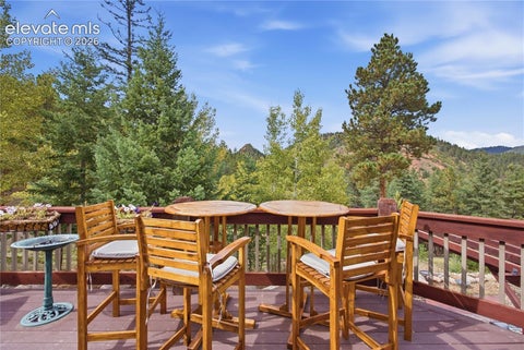 Tiny photo for 609 Crystola Court, Woodland Park, CO 80863 (MLS # 4712950)